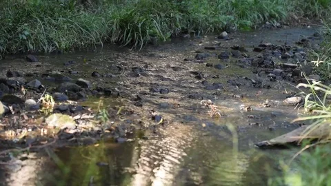 Running stream 스톡 동영상 89926043