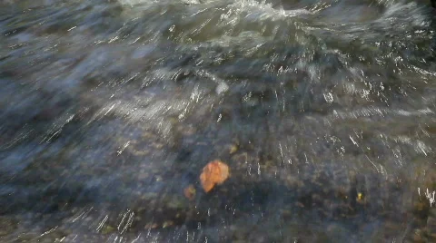 Running Stream Over Leaf Stock Footage 861816