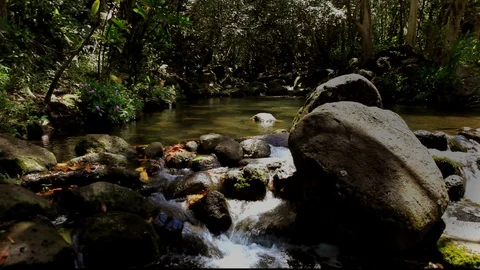 Running Stream pond and Rocks Stock Footage 104282143