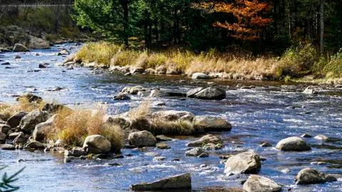 Running Stream Through Rocks and Stones Foto stock