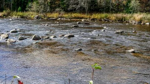 Running Stream Through Rocks and Stones Stock Photos