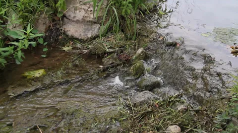Running Stream of Water Video stock 29604481