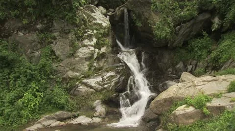 Running Stream of Water in a Rain Forest Video stock 19319792