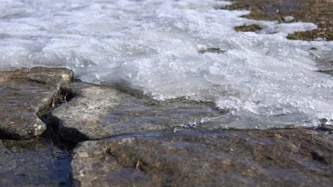 Running streams of cold clean water through thawed snow over rocks. Stock Footage 88824034
