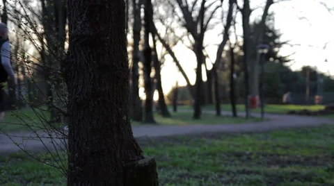 Running at sunset in the park- low depth of field Stock Footage 48873263