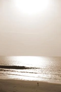 Running on sunshine Stock Photos