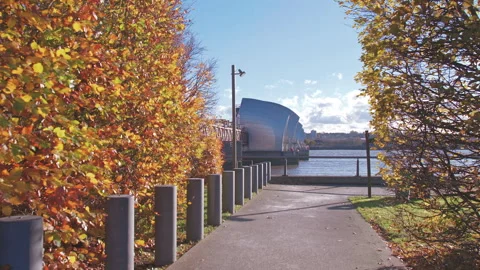 Running through autumn trees lined park path, London, United Kingdom Video stock 293125067
