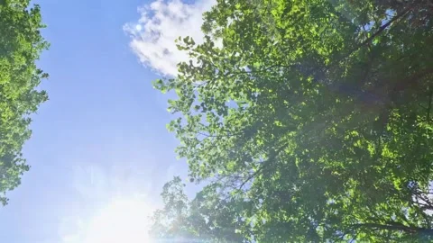 Running through blue skies and forests Stock Footage 242839459