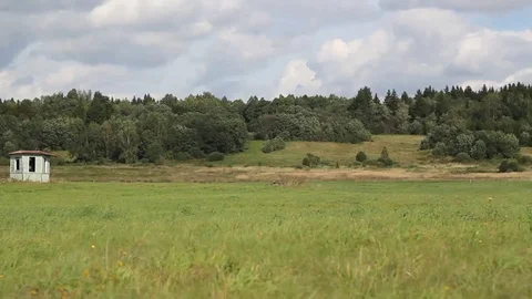 Running through the field Stock Footage 99119307