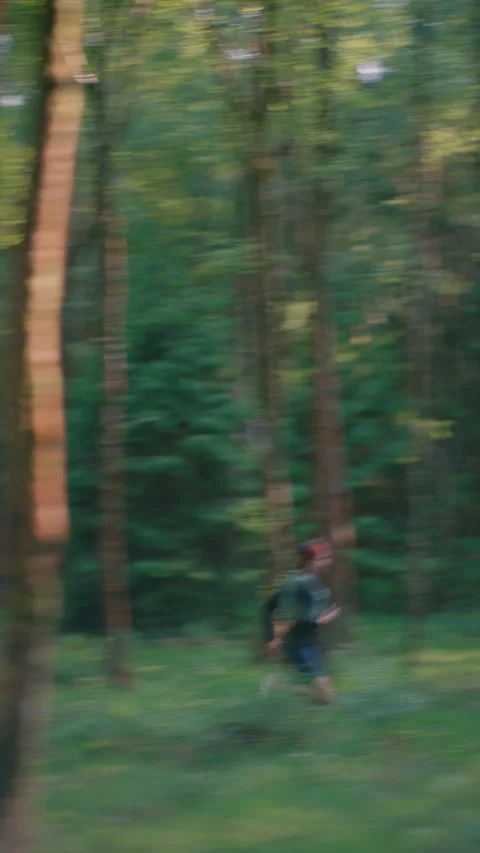 Running Through The Forest Video stock 345012154
