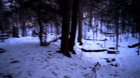 Running through forest winter steadicam Stock Footage 18195299