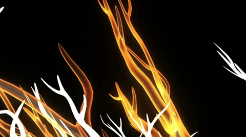 Running through Ghost Wolf Forest Pt. 2- Halloween Moon HD 库存影片 33718815