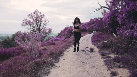 Running through lavender fields in a vibrant outdoor landscape Stock Footage 310252682
