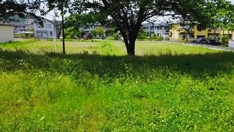 Running Through Park Stabilized 스톡 동영상 82289999