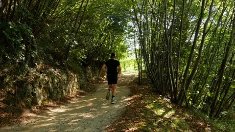 Running through the Prosecco wine hill - Conegliano Valdobbiadene Video stock 99552112