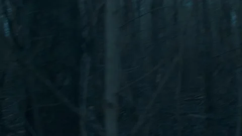 Running through Scary Forest Stock Footage 166058756