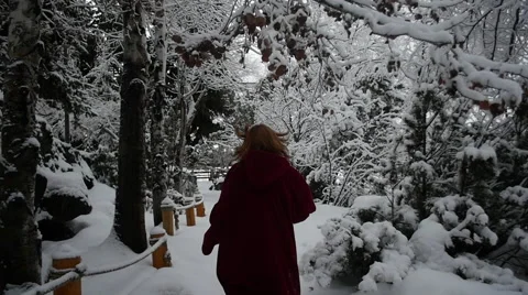 Running Through Winter Stock Footage 60819079