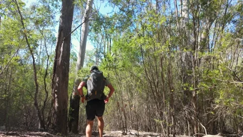 Running Through Woods Downhill Видео 331899710