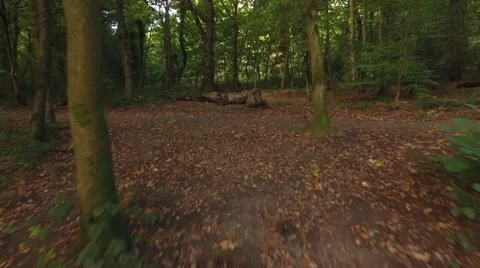 Running through the woods. Stock Footage 68806212