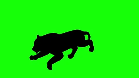 Running tiger perspective view silhouette animation on bright green screen Stock Footage 314563710