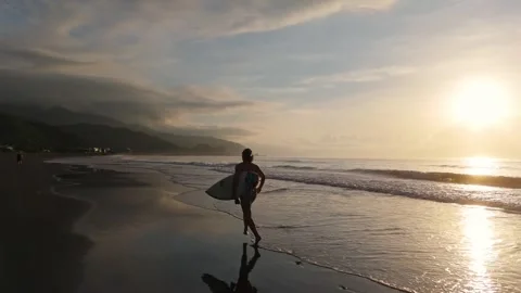 Running Toward the Golden Waves 스톡 동영상 326426469