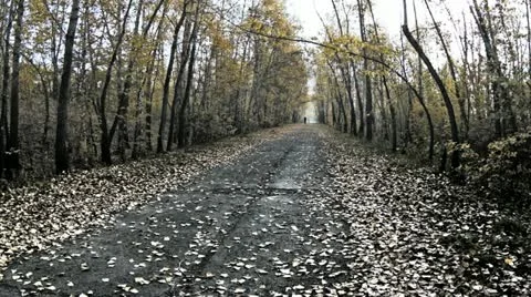 Running track Stock Footage 12318457