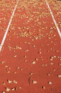 Running track Stock-Fotos