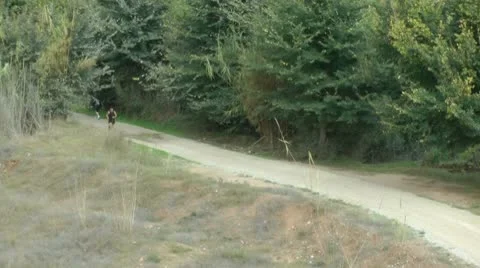 Running on Trail 스톡 동영상 8950725