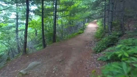 Running on a trail Stock Footage 108243044