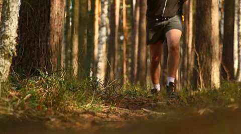 Running training in forest Stock Footage 49760895
