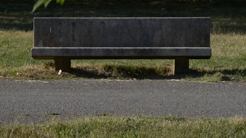 Running training at the park Stock Footage 112778085