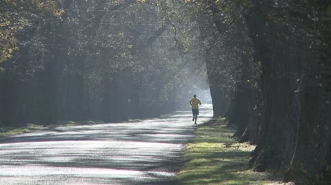 Running under oak trees Stock Footage 8638520