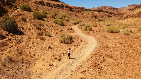 Running under the sun Stock Footage 106022408