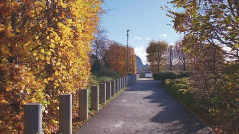 Running view down park autumn trees lined path, London, United Kingdom Stock-Footage 293124931