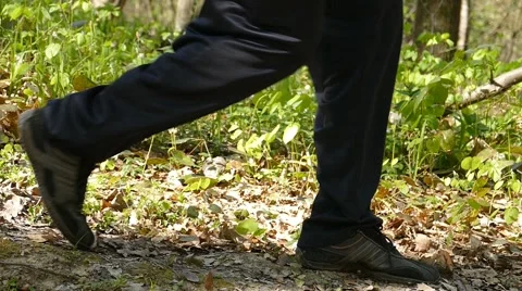 Running Walking In The Forest 3 Vídeo Stock 50148183