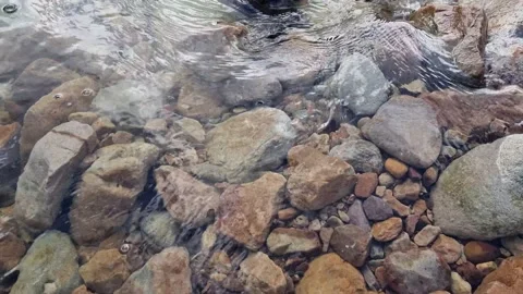 Running Water 2 Without Sound Stock Footage 196109350