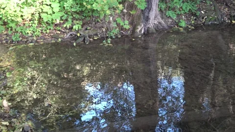 Running water and forest stream Stockbeeldmateriaal 334783259