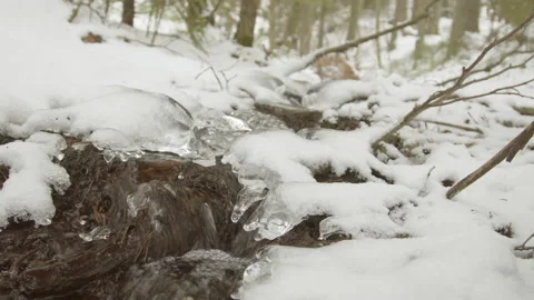 Running water brook winter 스톡 동영상 85982344