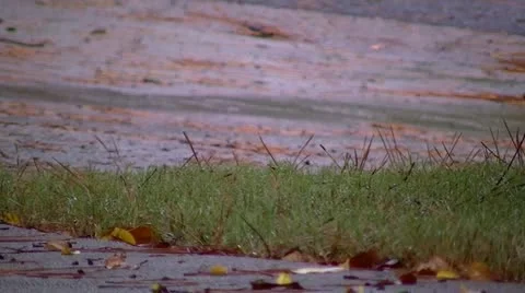 Running Water Down a Driveway Stock-Footage 12234976