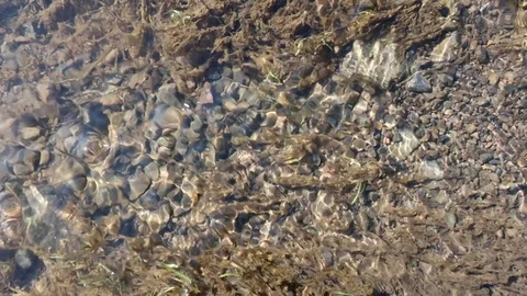 Running water drains into a stream 動画素材 128783972