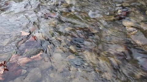 Running water drains into a stream 動画素材 128933455