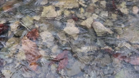 Running water drains into a stream 動画素材 128933458
