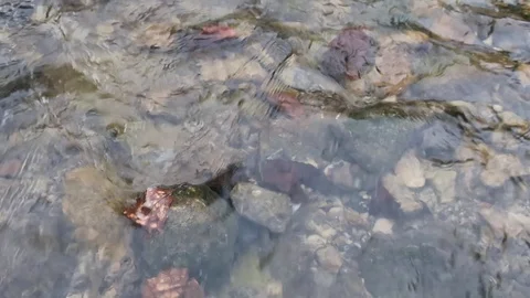Running water drains into a stream 動画素材 128933473