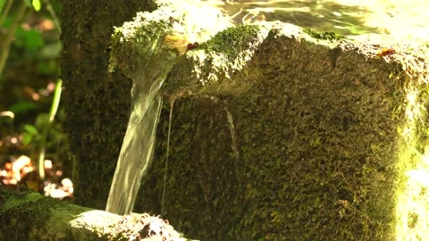 Running water for drinking troughs for grazing animals Stock Footage 139423393