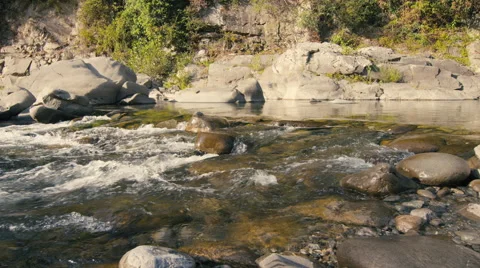 Running water, flowing down a gentle stream Stock Footage 63015300