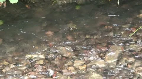 Running Water Stock Footage 12719330