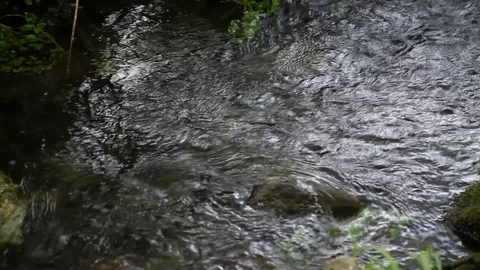 Running water Stock Footage 81082035