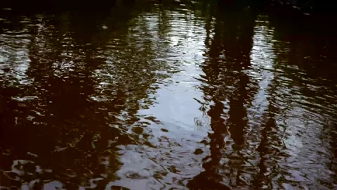 Running water Stock Footage 161769104