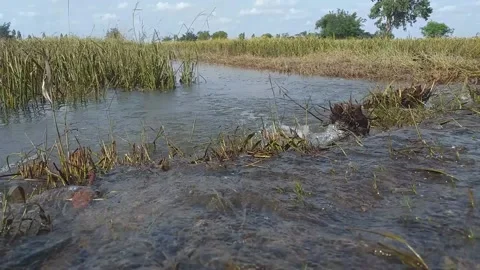 Running water Stockbeeldmateriaal 162669543