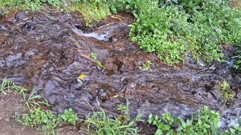 Running water Stock Footage 283517724